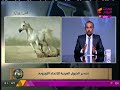 طبيب بيطري مع د أحمد صالح بشري سارة عن الخيول العربية ذات الأصول المصرية 12 8 2017