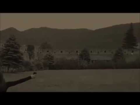 გული რადგან ქვად აქციეს (.ანი ნოზაძე)