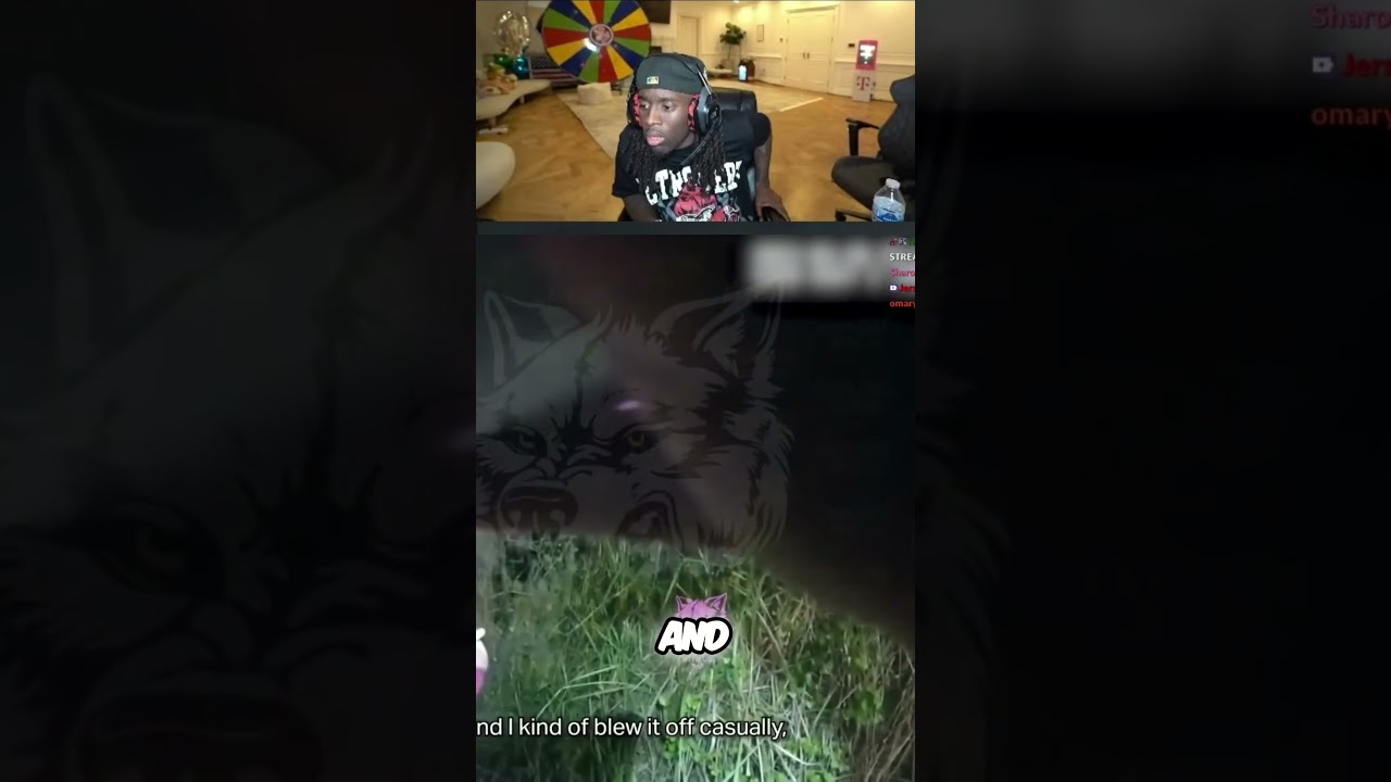 Mysterious Sounds  Witnessing a Nighttime Incident