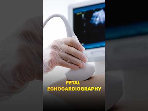 Should Every Pregnant Woman Get a Fetal Echocardiography? | Dr Chetan Khadke