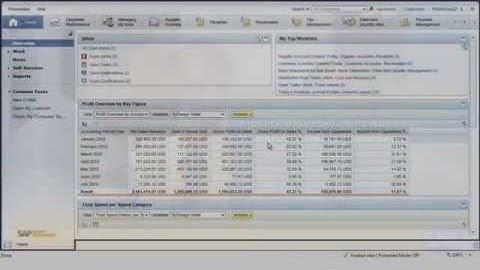 Accounts Payable Processing with SAP Business ByDesign  Solution Demo