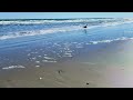 Better than the Boardwalk? Exploring Myrtle Beach's Most Peaceful Oceanside Path
