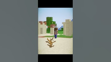 Thumbnail of Minecraft Big Village Seed Moment