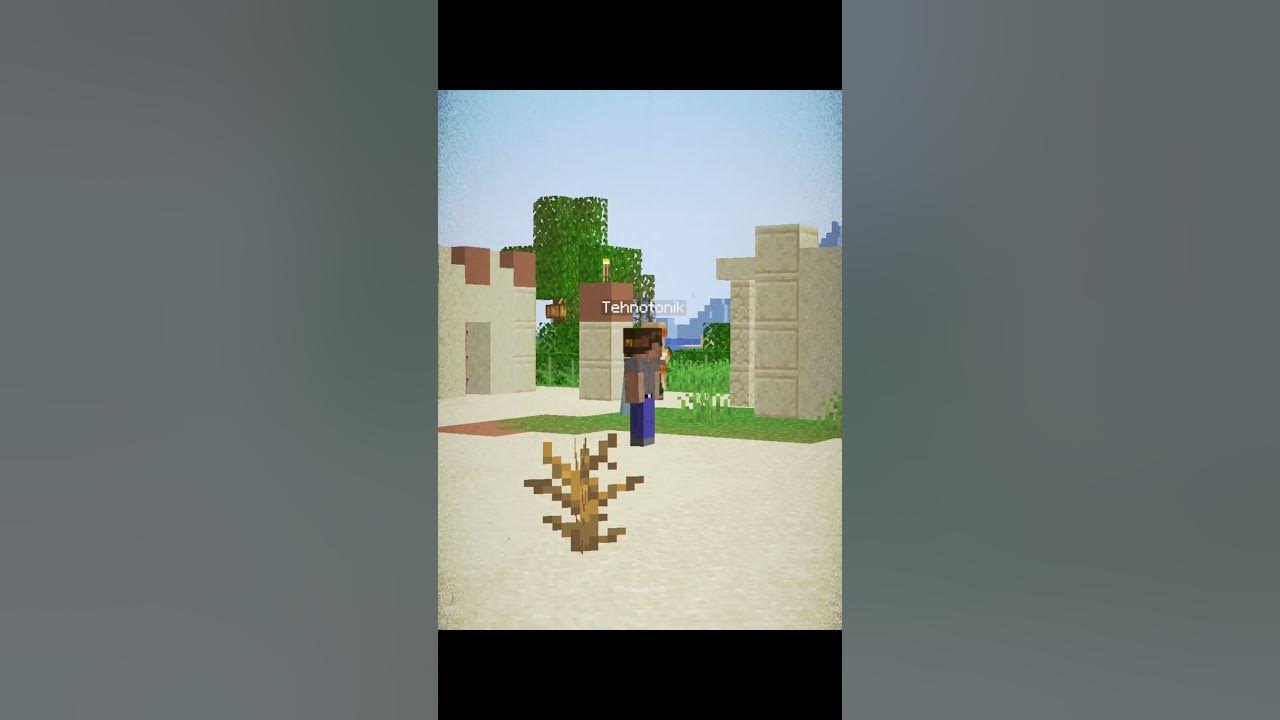 Minecraft Big Village Seed Moment