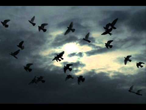 Toomaj Parvaz توماج آلبوم پرواز 