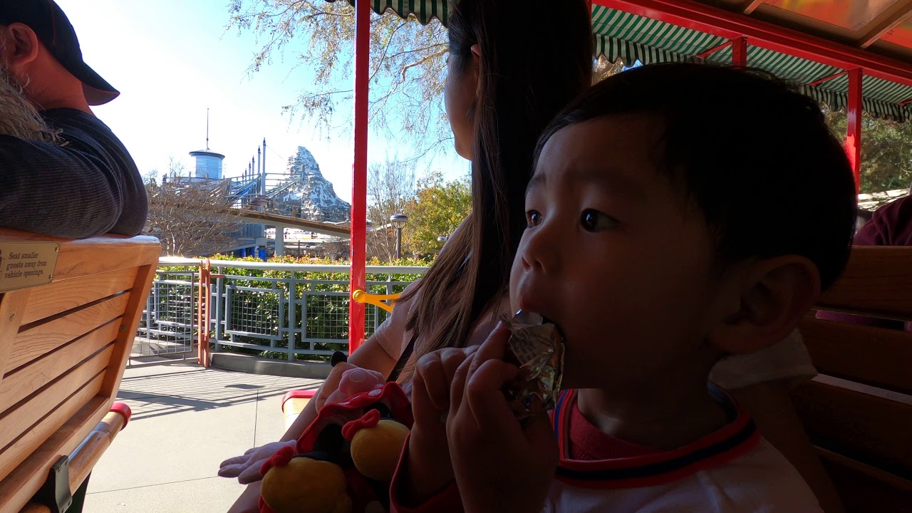 Disneylandoriginal 8 02162020