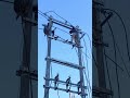 Electrical 11KV tar tension