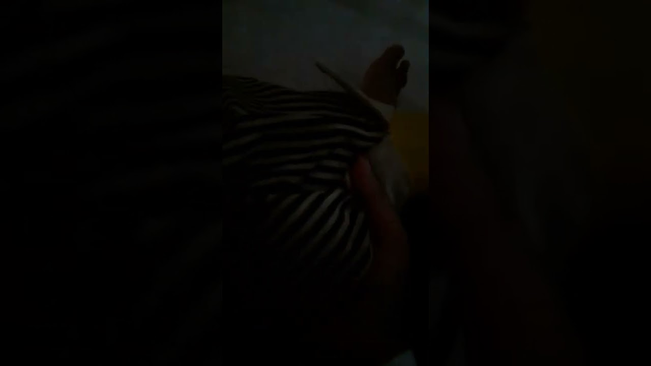 tom gos to your House!!