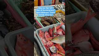 Tips beli ikan segar di Pasar Ikan Sendang Biru biar gak zonk!