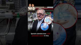 Spanish scientists have cured pancreatic cancer in mice. #health #healthy #healing #cancer