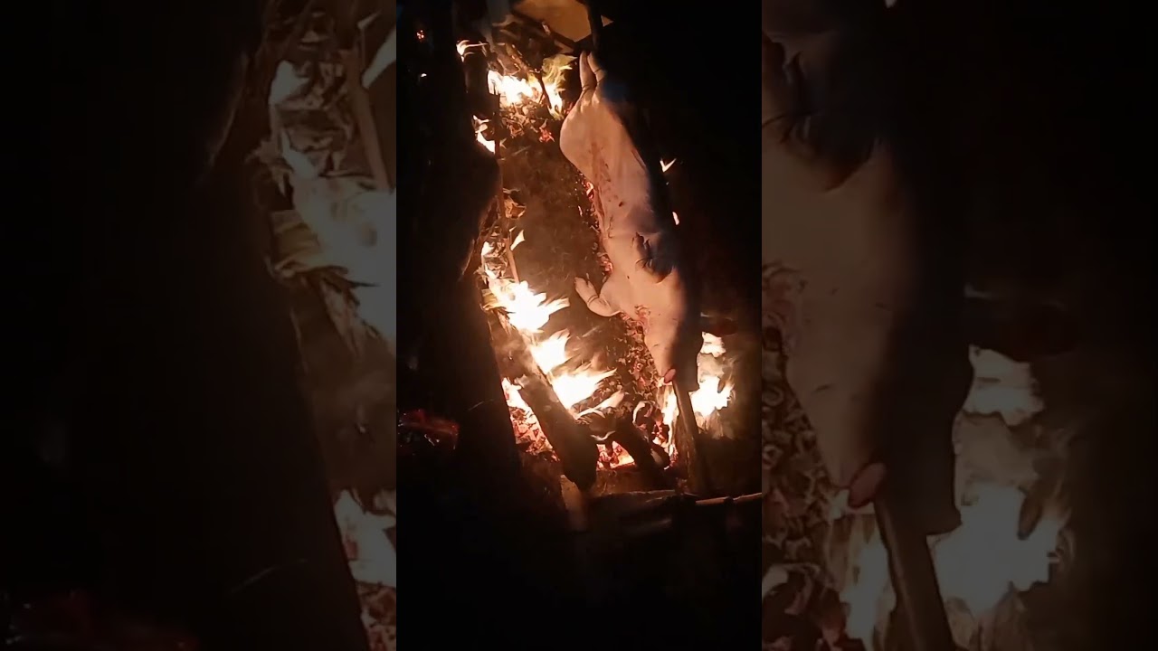 hi guys tarat panoorin ang ating maikling video.