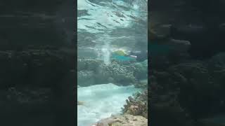Snorkeling beautiful Coral Gardens in Tahaa, French Polynesia