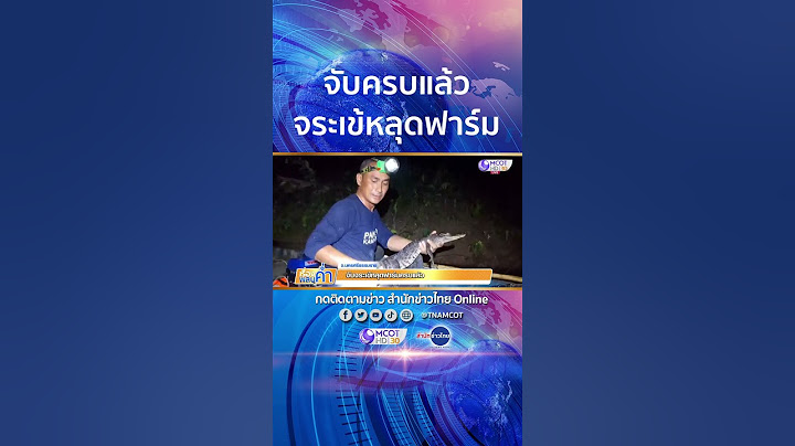 สบายใจได้ จับครบแล้วทุกตัว จระเข้หลุดฟาร์มที่เหลือ หลังเจ้าหน้าที่ระดมจับทั้งคืน