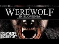 A Werewolf in Slovenia