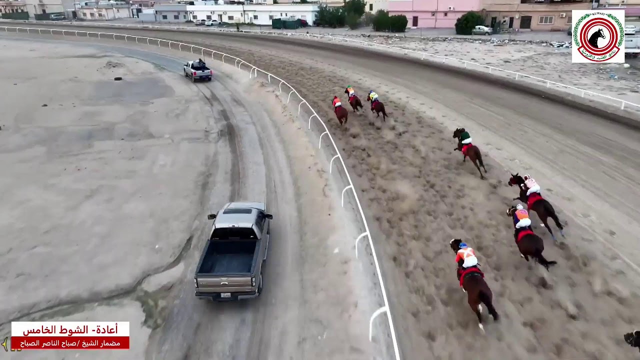 بث مباشر - مضمار الشيخ صباح الناصر الصباح - الأجتماع الرابع -  لموسم 2024-2025