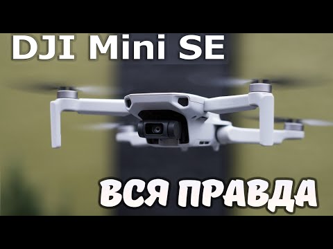 DJI Mini SE -- На что способен новый БЮДЖЕТНЫЙ дрон от DJI?