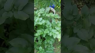 outside update