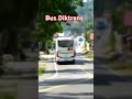 Bus Diktrans, Melintas di Lubuk Sikaping Rabu, 12 Februari 2025 mengarah ke medan