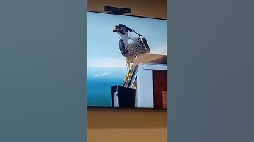 UMass Lowell Campus Tour in Lowell MA - Video 2