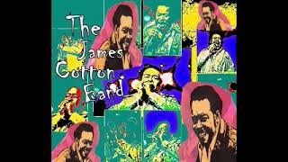 The James Cotton Band - Live And On The Move - 1976 - (Full Album)