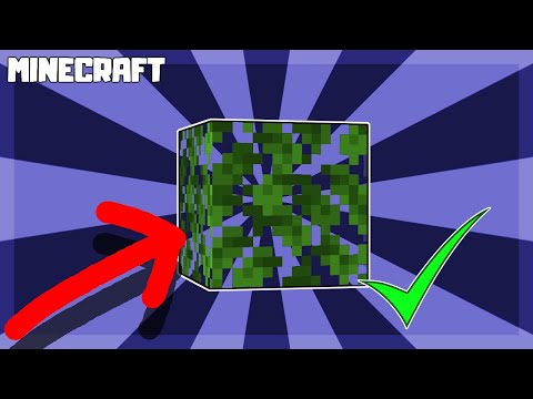 ভিডিও: আপনি কিভাবে Minecraft এ গাছের পাতা সংগ্রহ করবেন?