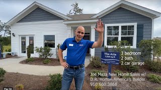 The Aria Model at Meridian Forest of Avalon by D.R. Horton America's Builder