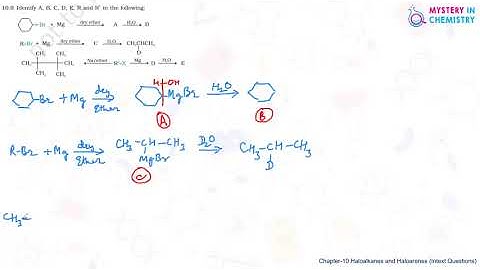 Haloalkanes & Haloarenes-Intext Questions #10.9