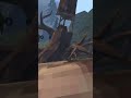 Pool accident