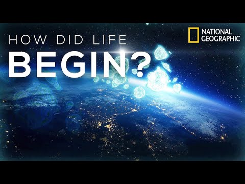Wideo: Jak Zaczęło Się życie Na Ziemi Z Punktu Widzenia Nauki