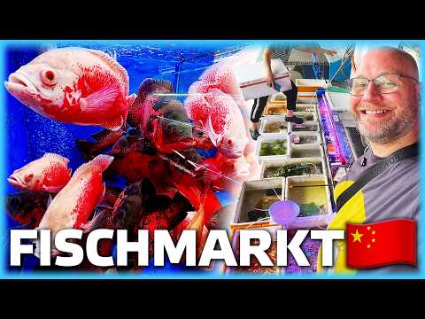 This fish market beats anything you've ever seen!