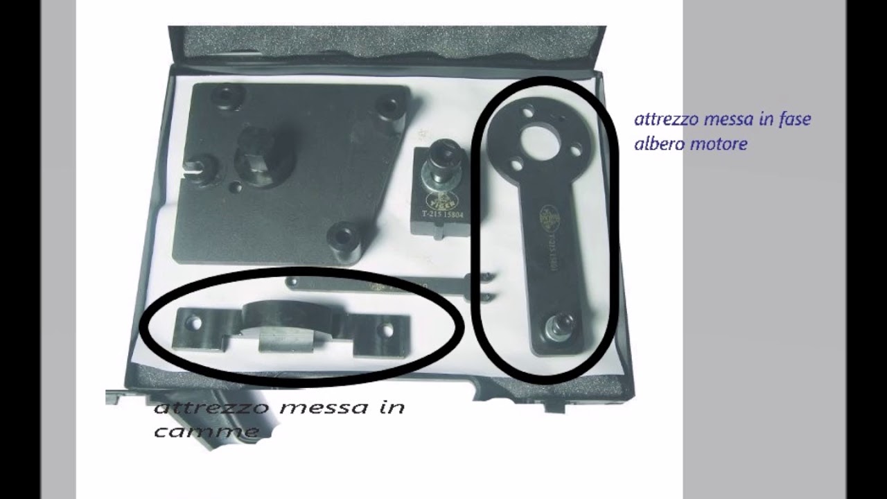 Topolenashop Kit ATTREZZO Messa in Fase Fiat Lancia 1.2 ...