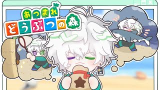【 あつまれどうぶつの森 】サメハンター生活day6。【叢雲カゲツ/にじさんじ】