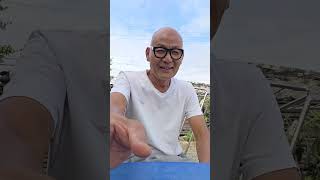 이빨뽑고난 후기1