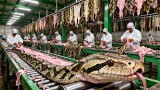 Famous How Leather Python Snake Belts Are Made | Inside Exotic Leather Factory | process Net Worth