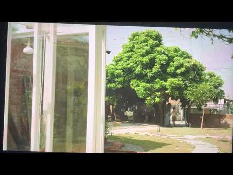 俗女養成記2 Making Of Ordinary Woman 2 Music Ost (can anyone know what music is used?)
