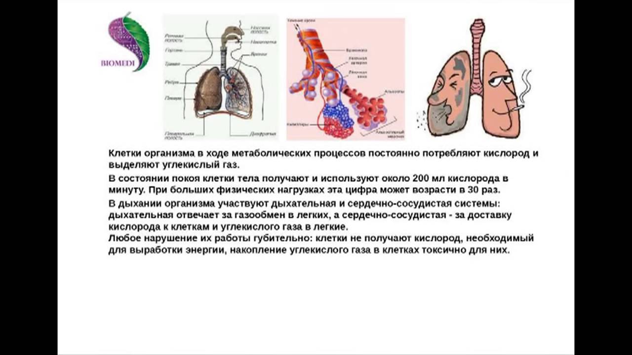 Лечение ЛОР заболеваний дома. Носоглотка - симптомы и лечение в ...
