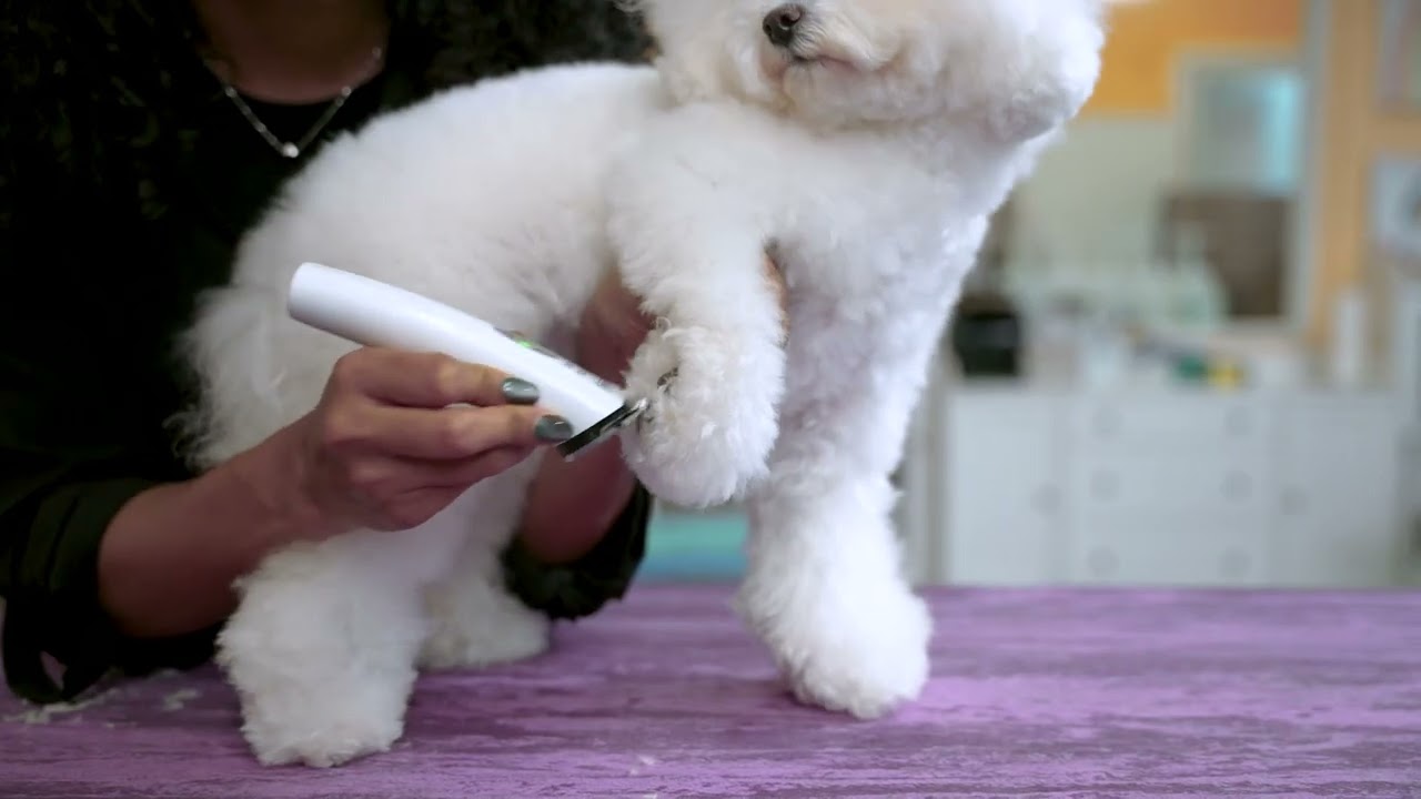 Wahl Vetiva Mini Trimmer - YouTube