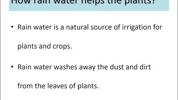DAV class 3 SCIENCE chapter 10 = Water..........Extra questions and answers