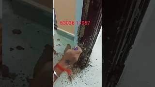 చెదలు నివారణ,63036 17957 ,#Pest control #painting #cleaning #electrical #construction screenshot 4