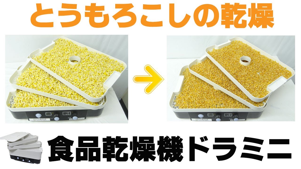 干し野菜作り］家庭用食品乾燥機でとうもろこしの乾燥（ドラミニ