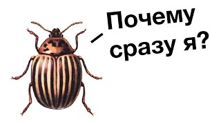 Русская фантастика. Попаданцы. Донбасс. Обзор на книгу «Позывной "Колорад"» | Плохие книги