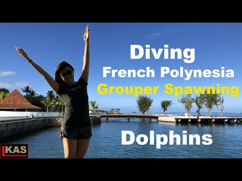 Diving French Polynesia Island, Fakarava and Rangiroa