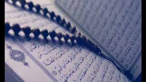 سوره الملك القارئ زيد الشنطي 💚 تلاره خاشعه تريح النفس