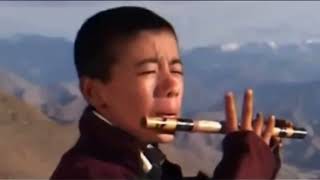 Video thumbnail of "HD | དབྱར་ཟླ་དབང་མོ། Ladakhi Song Music Video"