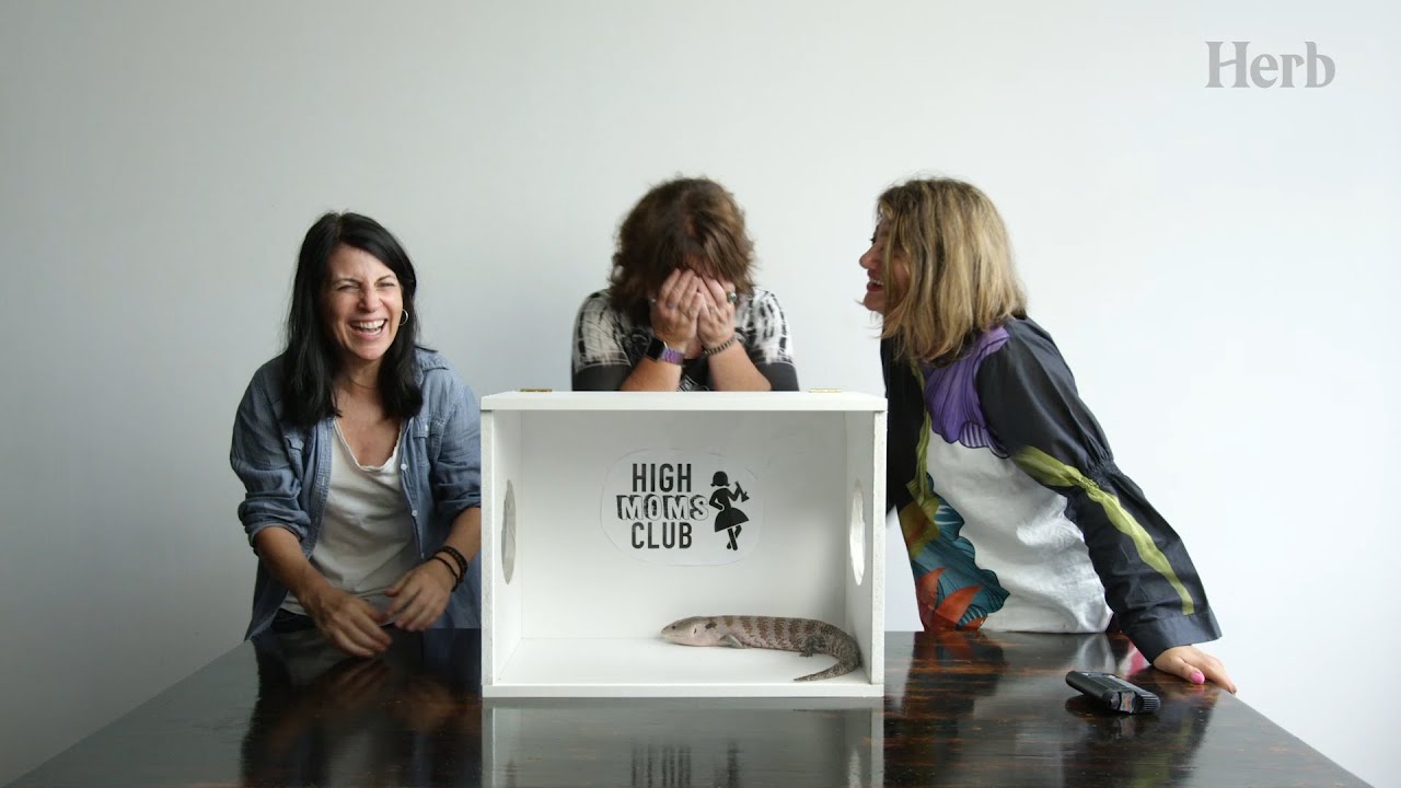 High Moms vs. "What's In The Box?" Challenge (Ep 2) | High Moms Club | Herb