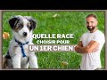 Quelle Race Choisir Pour Un 1er Chien mp3