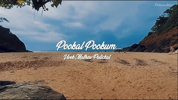 Pookkal Pookkum | Madharasapattinam | Vivek Mathew Pulickal | Rohit Punnen