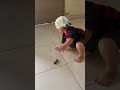 brincando com meu filho #joaoguilherme #criancafeliz #viral