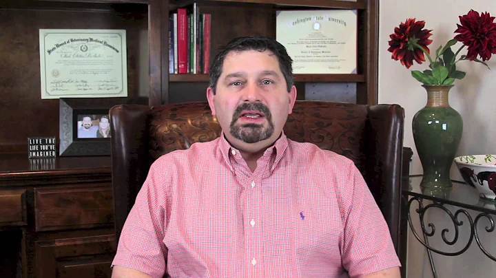 How Stress Can Cause Cushing's Syndrome in Horses