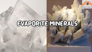 Lecture 8 Evaporite Minerals Gypsum, Anhydrite, Halite, Sylvite